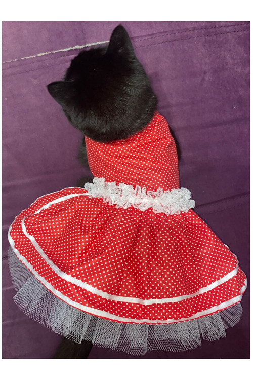 Beyaz Puantiyeli Kurdeleli Kırmızı Dişi Kedi Köpek Kıyafeti Elbisesi Xlarge/Xl/Beden 4