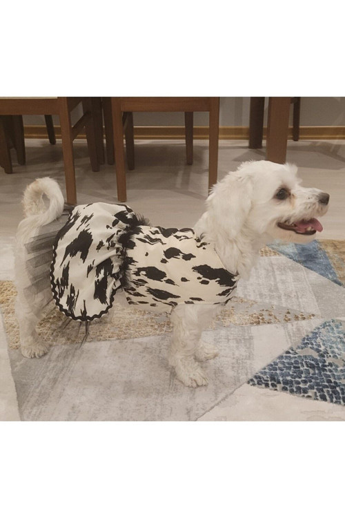 Siyah Beyaz Leopar Desenli Tüllü Kedi Köpek Kıyafeti Elbisesi Small/S/Beden 1