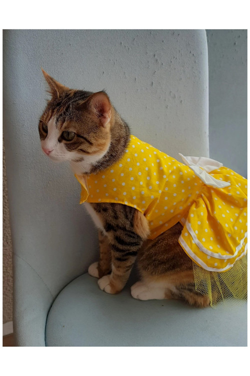 Sarı Puantiyeli Beyaz Papyonlu Kedi Köpek Kıyafeti Elbisesi Small/S/Beden 1