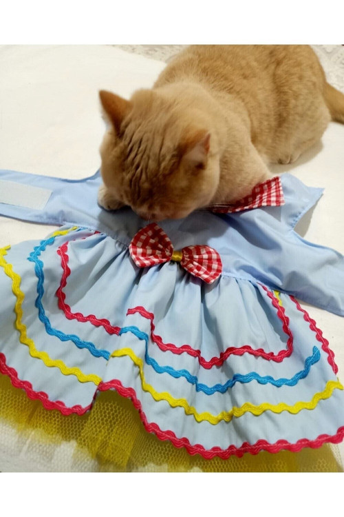 Rengarenk Festival Temalı Papyonlu Tüllü Kedi Köpek Kıyafeti Elbisesi Small/S/Beden 1