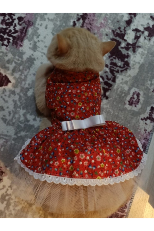 Rengarenk Çiçekli Fiyonklu Kedi Ve Köpek Kıyafeti Elbisesi Small/S/Beden 1