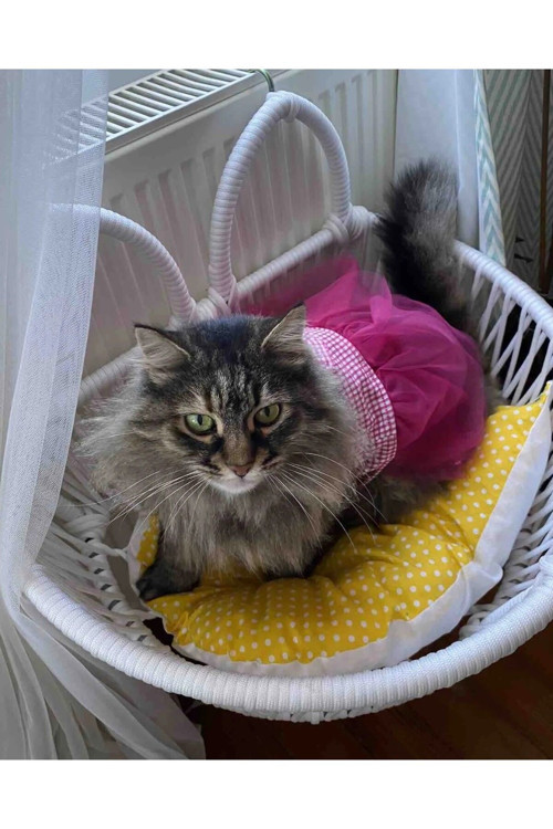 Pembe Kareli Fiyonklu Tüllü Kedi Köpek Kıyafeti Elbisesi Xsmall/Xs/Beden 0