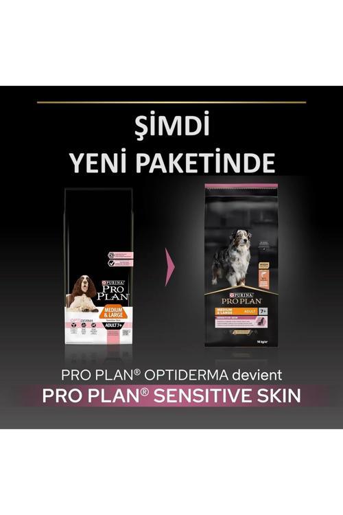 Sensetive Skin Somonlu Yaşlı Köpek Maması 14 kg