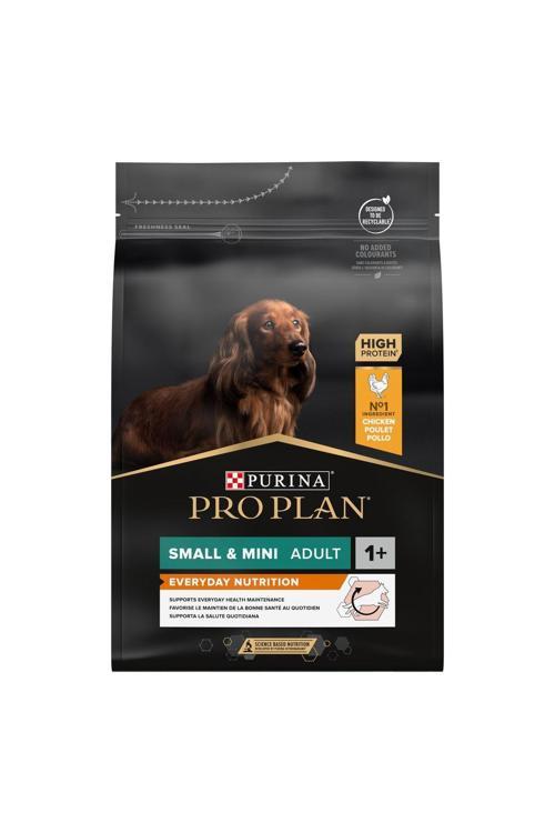 Chicken Tavuk Etli Small Breed Adult Dog Food Yetişkin Köpek Kuru Mama 3kg