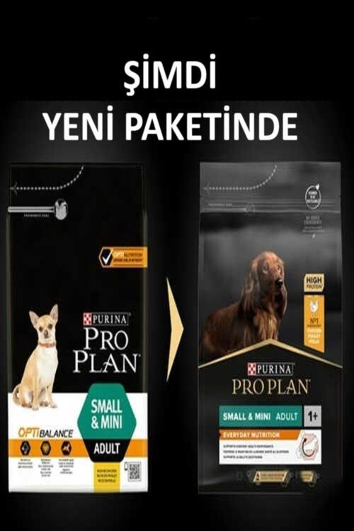 Small Mini Adult Küçük Irk Tavuklu Yetişkin Köpek Maması 3 kg