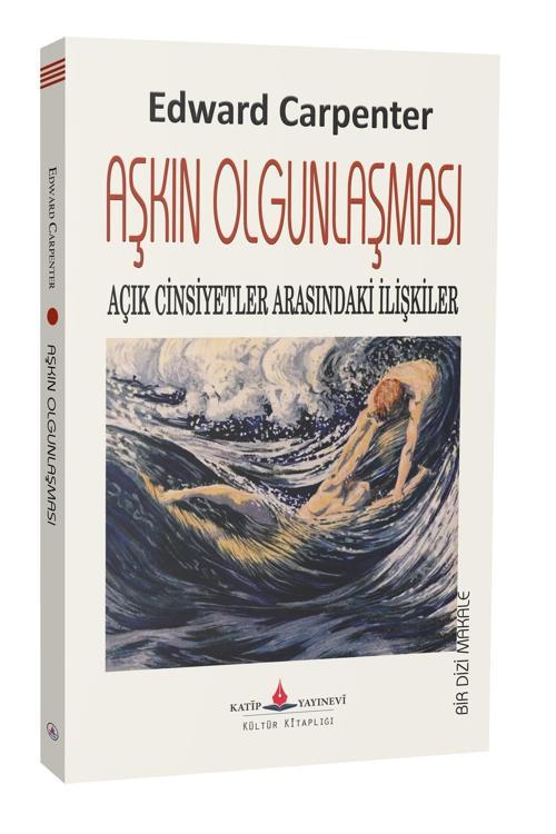 Aşkın Olgunlaşması - Açık Cinsiyetler Arasındaki İlişkiler