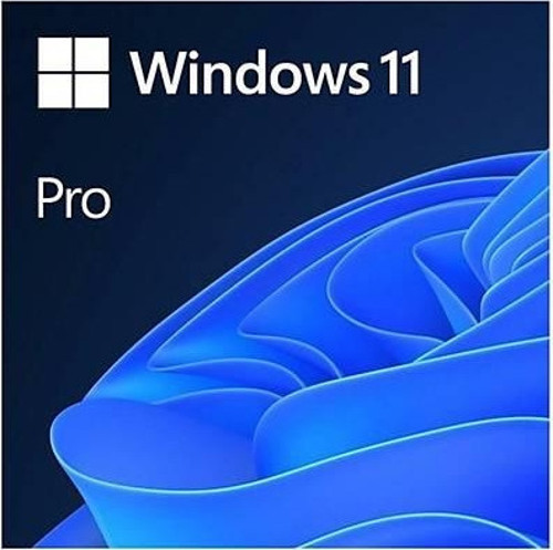 Windows 11 Pro 64Bit Türkçe Kutu HAV-00159 Kutulu İşletim Sistemi