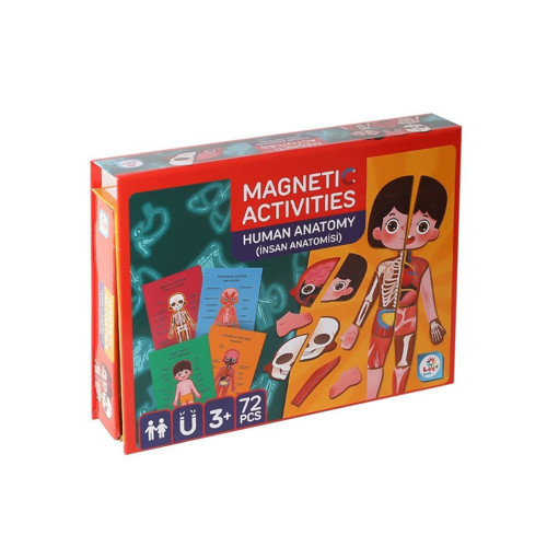 LC986 Manyetik Aktivite İnsan Anatomisi -Laço Kız Erkek Çocuk Oyuncak Eğitici Oyuncaklar