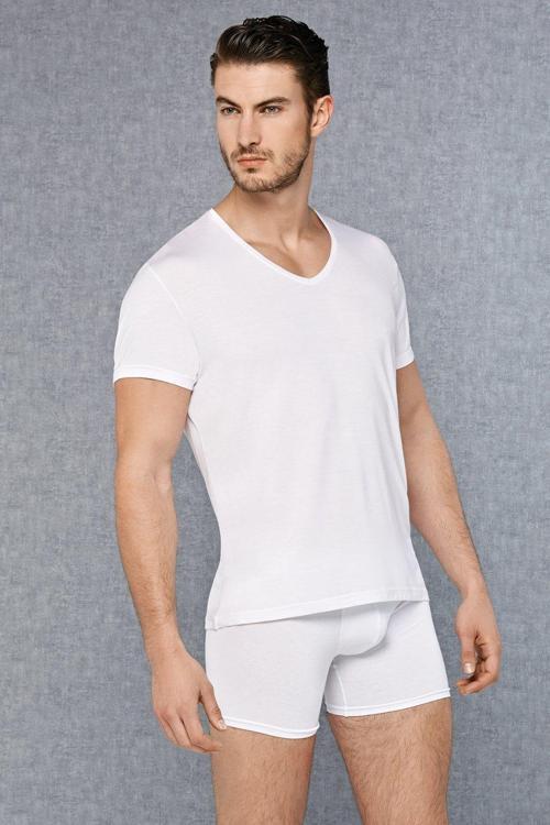 Erkek Micromodal V Yaka Kısa Kol T Shirt 2865