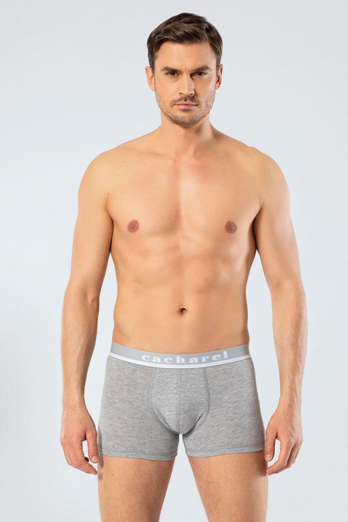 Erkek Likralı Boxer 1317/Gri