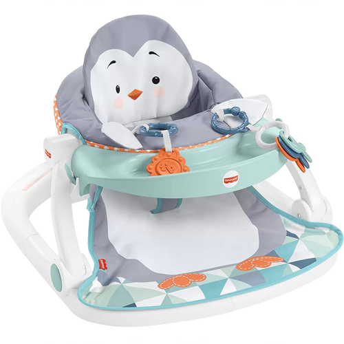 Fisher Price Tepsili Ana Kucağı HBF27 Kız Erkek Çocuk Oyuncak Eğitici Oyuncaklar