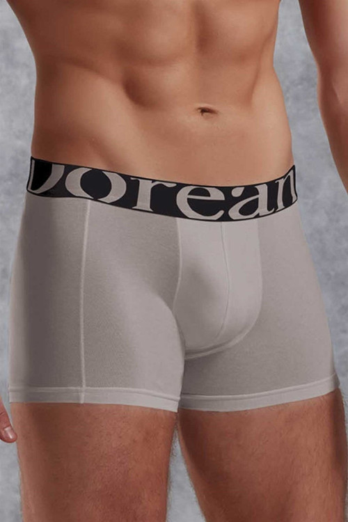 Gri Erkek Modal Torbalı Normal Paça Boxer 1777