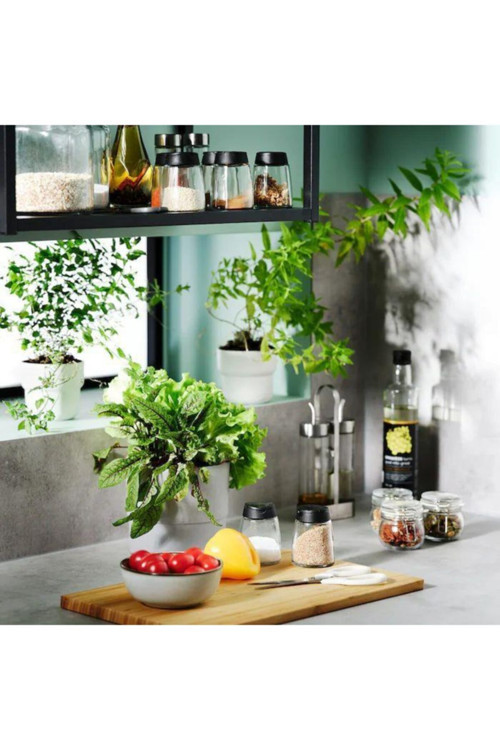 12 Parça Baharat Takımı Baharatlık Seti Cam