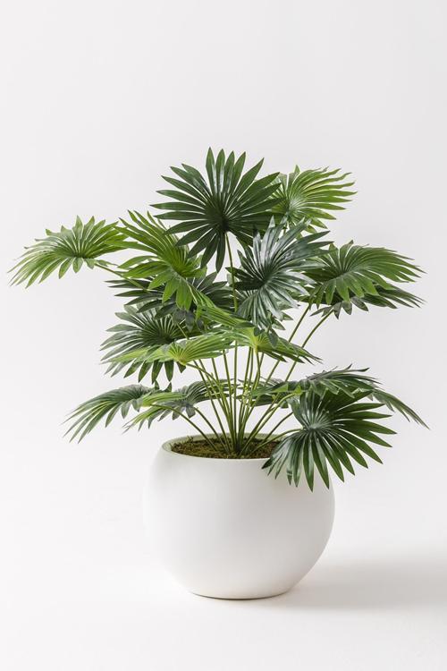 Yapay Çiçek Yelpaze Palmiyesi Küre Saksı 65 Cm