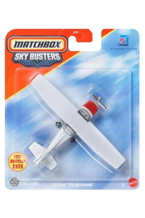 Sky Busters -  Cessna 172 Skyhawk