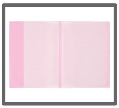 Bigpoint A4 Hazır Defter Kabı 5li Paket Şeffaf Kırmızı