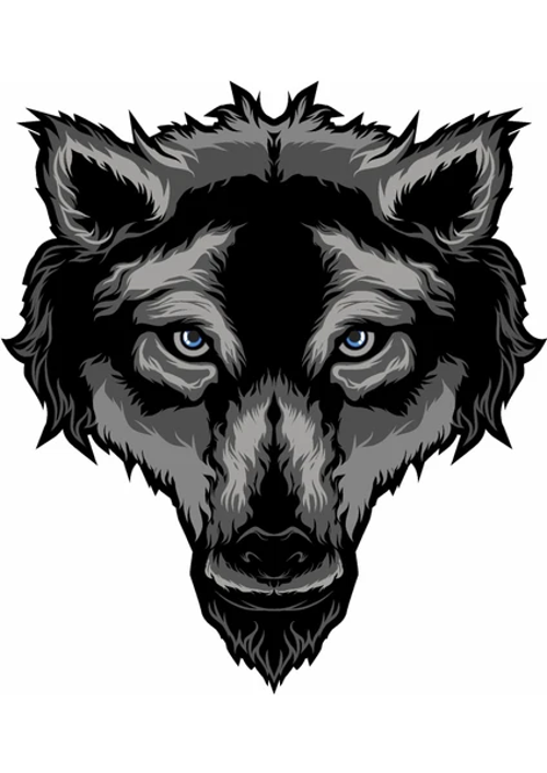 Yaşlı Kurt Araba Motorsiklet Sticker 19 CM