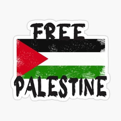 Filistin Gazze özgürlük Araba oto Sticker 19CM