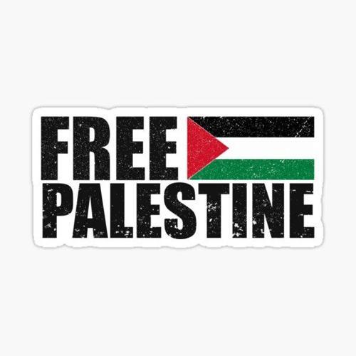 Özgür Filistin , Özgür Gazze Araba oto Sticker Etiket 19CM