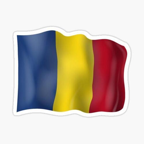 Romanya bayrağı çıkartması 19CM Araba Etiket yapıştırması