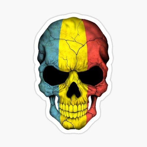 Romanya Bayrağı Kafatası Çıkartması 19 CM Araba Sticker Yapıştırma