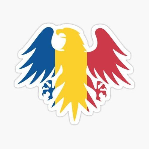 Romanya Bayrağı Kartal Çıkartması 19CM