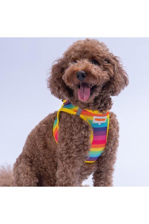 Rainbow Air-Mesh Göğüs Tasması Kedi Köpek Göğüs Tasması Gökkuşağı Desenli Köpek Tasması