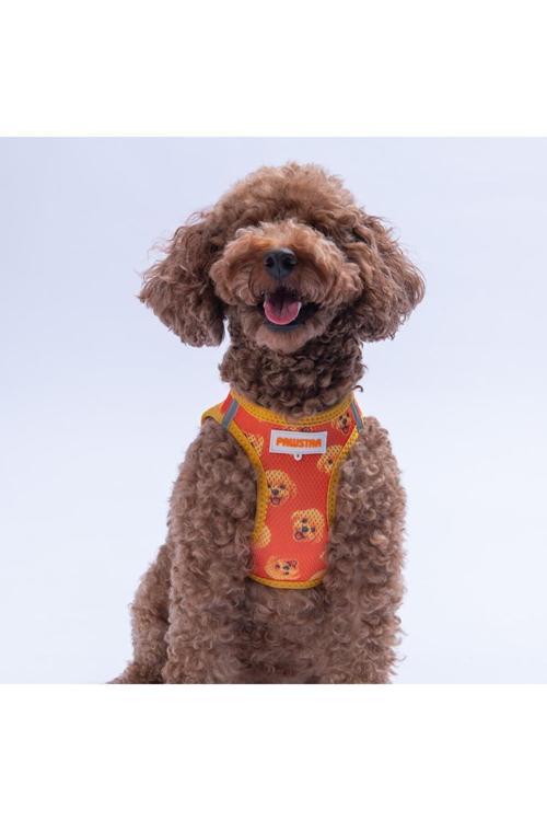 Poodle Air-Mesh Göğüs Tasması Kedi Köpek Göğüs Tasması