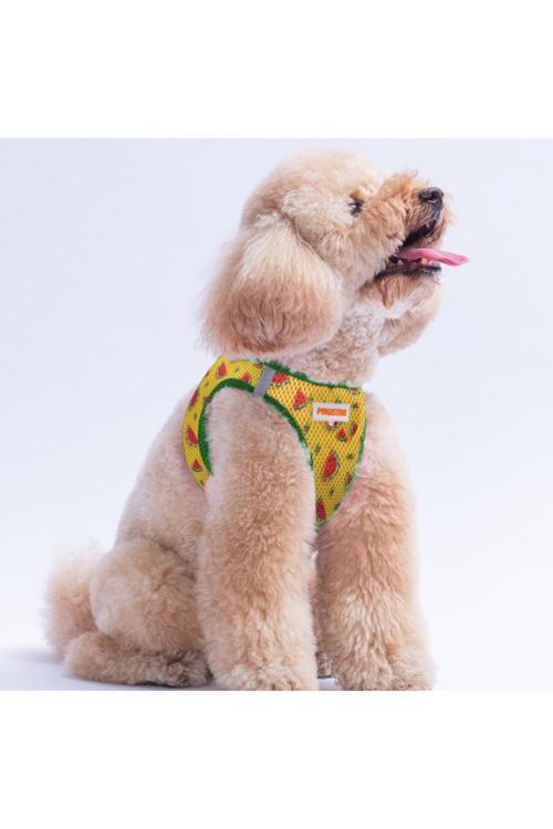 Watermelon Air-Mesh Göğüs Tasması Kedi Köpek Göğüs Tasması Karpuz Desenli Köpek Tasması