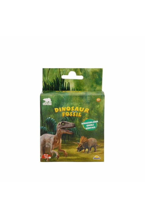 Fosil Kazı Seti Dinozor