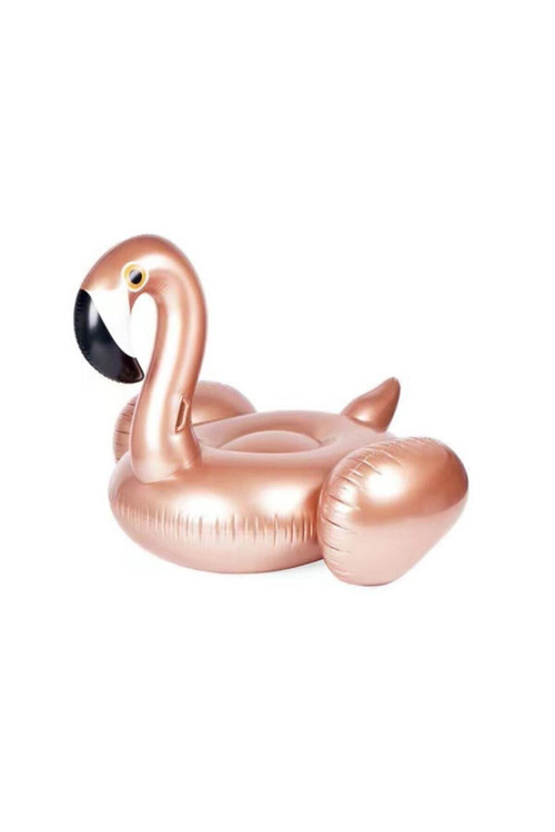 Flamingo Binici