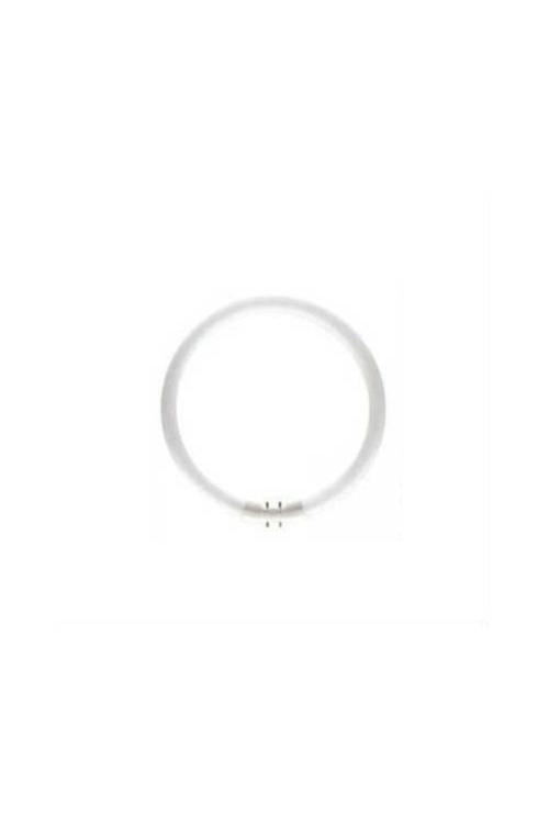 Phılıps T5 22W/840 1Ct/10 4000Kelvin Gün Işığı  Floresan Ampul