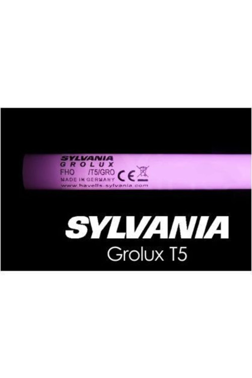 T5 Grolux 550Mm 24W