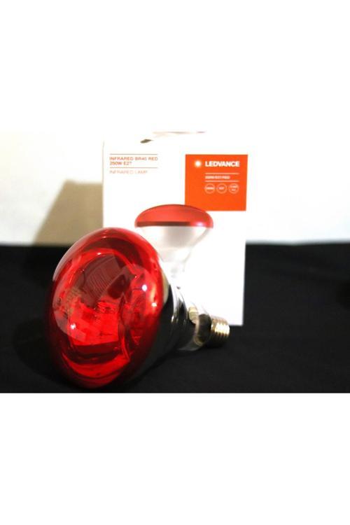 250W Br40 Infrared Isıtıcı Ampul E27 Kırmızı