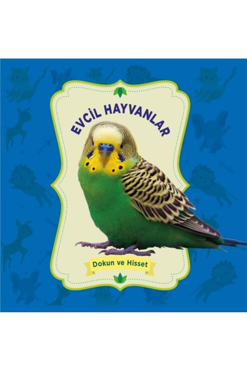 Okuyan Çocuk - Evcil Hayvanlar - Dokun Ve Hisset