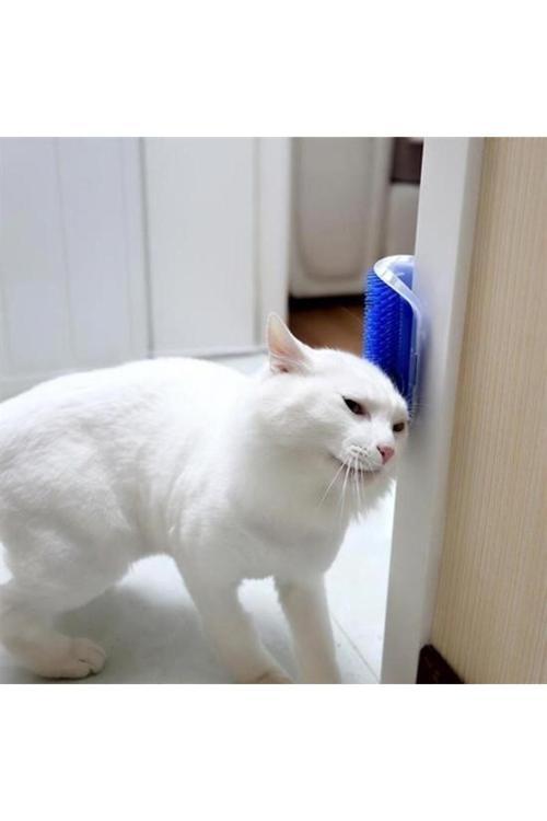 Pratik Kedi Tüyü Kaşıma Ve Tarama Aparatı Duvara Monte Kaşıma Aleti