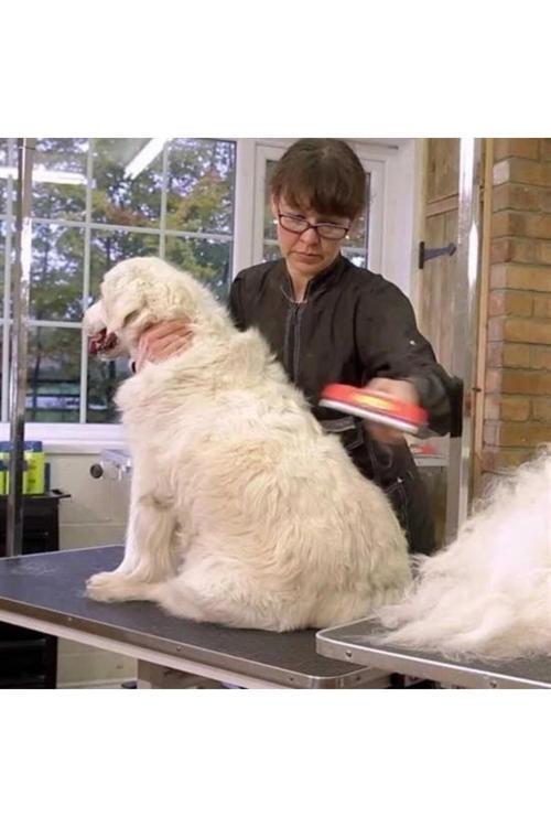 23 Kg Üzeri Uzun Tüylü Köpekler İçin Tüy Toplayıcı Ergonomik Tarak