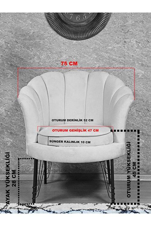 Tekli İstiridye Beyaz Boyalı Telli Ayak Çay Seti Koltuk Tekli Berjer , Balkon, Salon, Ofis Füme Renk 47 x 47 Boyut/Ebat