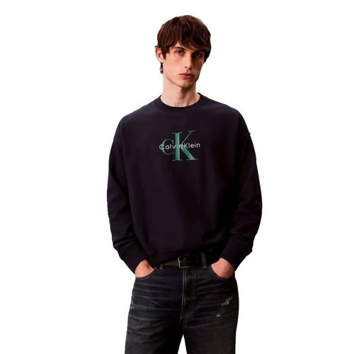 Uzun Kollu Penye Monologolu Bisiklet Yaka Erkek Sweatshirt LV04RD242G-CEF