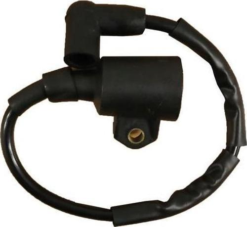 Çanta Jenerator Ateşleyici Bobin GL950