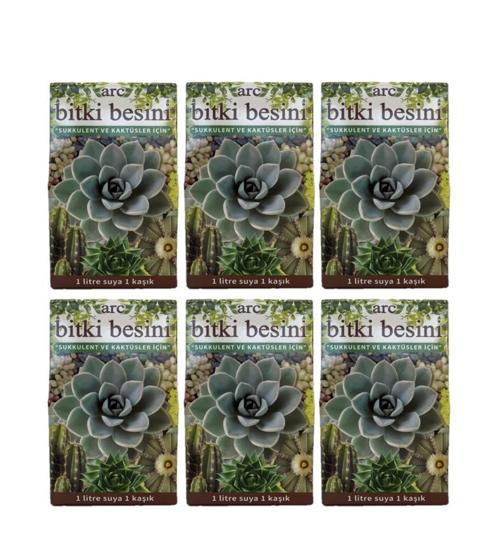 SO-BESK Sukulent ve Kaktüs Bitki Besini 6 x 100 gr