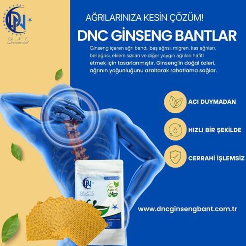 International Hızlı Etkili Doğal Ginseng Ağrı Bandı 2!li Paket Eklem Için Rahatlatıcı Uzun Süreli Etki 25 Bant