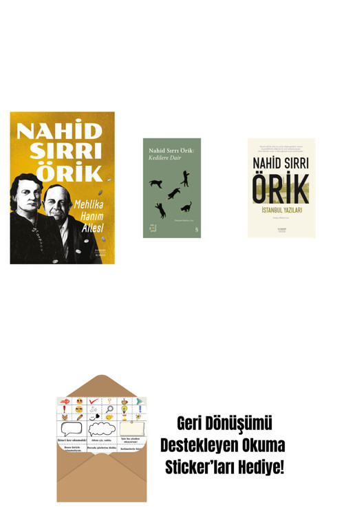 Everest Yayınları Mehlika Hanım Ailesi + Everest Açıkhava 29 - Kedilere Dair + İstanbul Yazıları + Okuma Sticker'Ları