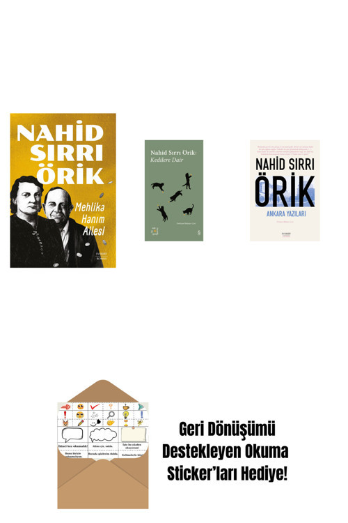 Everest Yayınları Mehlika Hanım Ailesi + Everest Açıkhava 29 - Kedilere Dair + Ankara Yazıları + Okuma Sticker'Ları