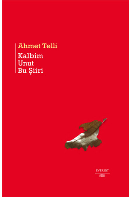 Everest Yayınları Kalbim Unut Bu Şiiri (Ciltli) + Saklı Kalan + Okuma Sticker'Ları