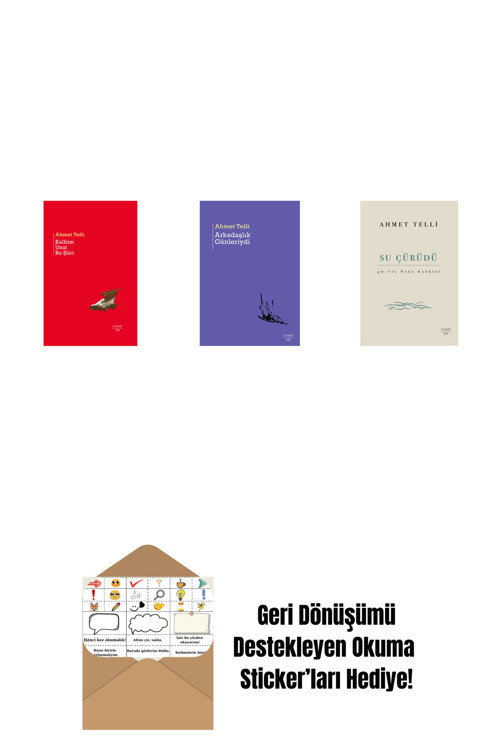 Everest Yayınları Kalbim Unut Bu Şiiri (Ciltli) + Arkadaşlık Günleriydi + Su Çürüdü (Ciltli) + Okuma Sticker'Ları