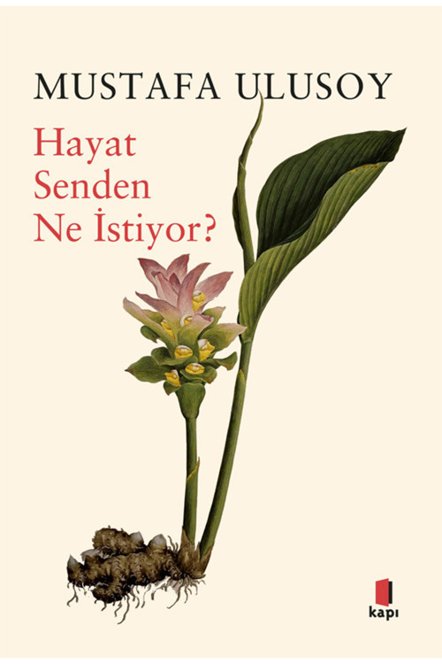 Kapı Yayınları Hayat Senden Ne İstiyor? + Yapışkanlı Not Kağıdı