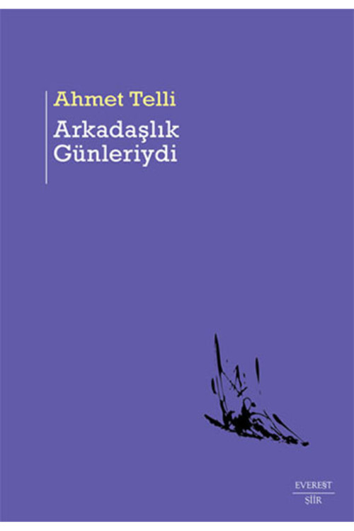 Everest Yayınları Arkadaşlık Günleriydi + Dinlersen Anlatırım + Bakışın Senin + Okuma Sticker'Ları