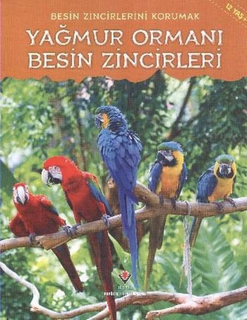 Yağmur Ormanı  Besin Zincirleri