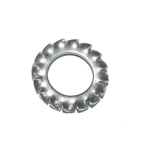 Krom Tırtıllı Pul  M10
